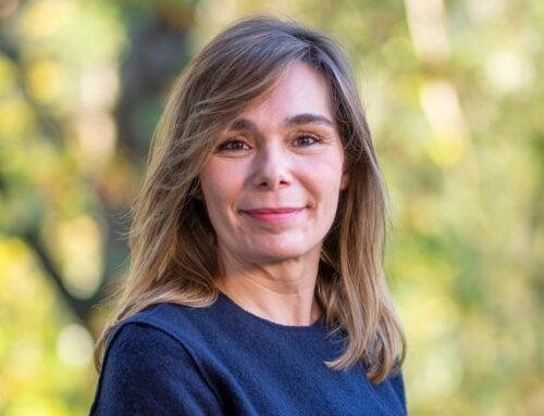 Ciberestafas en el entorno empresarial: riesgos emergentes y nuevas medidas de protección